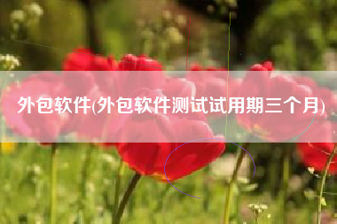 外包软件(外包软件测试试用期三个月)