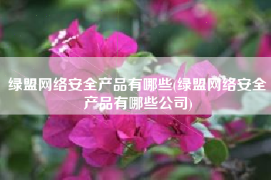 绿盟网络安全产品有哪些(绿盟网络安全产品有哪些公司)