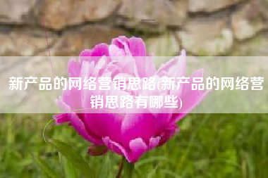 新产品的网络营销思路(新产品的网络营销思路有哪些)