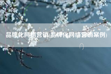 品牌化网络营销(品牌化网络营销案例)