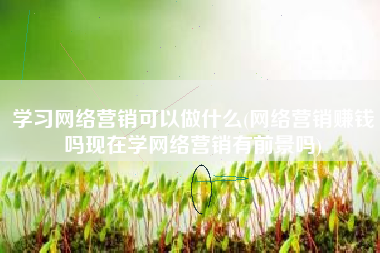 学习网络营销可以做什么(网络营销赚钱吗现在学网络营销有前景吗)