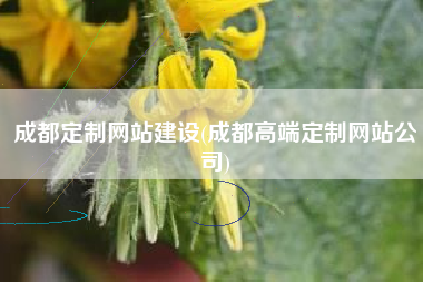 成都定制网站建设(成都高端定制网站公司)