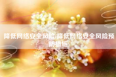 降低网络安全风险(降低网络安全风险预防措施)