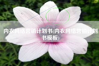 内衣网络营销计划书(内衣网络营销计划书模板)
