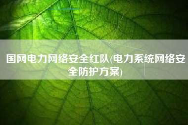 国网电力网络安全红队(电力系统网络安全防护方案)