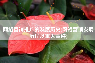网络营销推广的发展历史(网络营销发展历程及重大事件)
