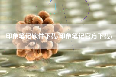 印象笔记软件下载(印象笔记官方下载)