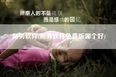 财务软件(财务软件免费版哪个好)