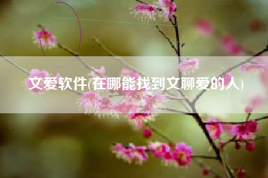 文爱软件(在哪能找到文聊爱的人)