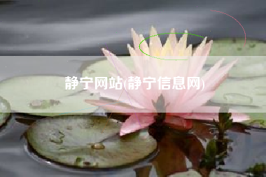 静宁网站(静宁信息网)