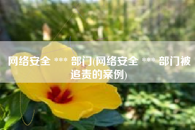 网络安全 *** 部门(网络安全 *** 部门被追责的案例)