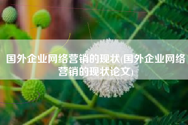 国外企业网络营销的现状(国外企业网络营销的现状论文)