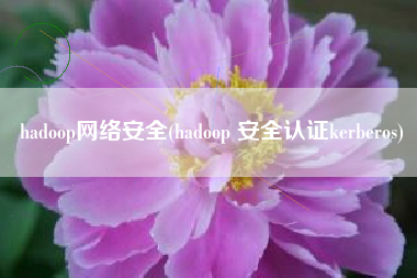 hadoop网络安全(hadoop 安全认证kerberos)