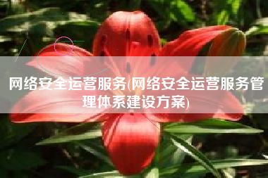 网络安全运营服务(网络安全运营服务管理体系建设方案)