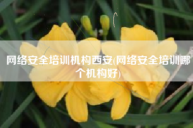 网络安全培训机构西安(网络安全培训哪个机构好)