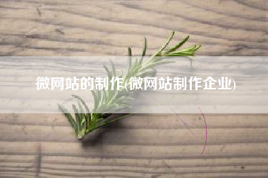 微网站的制作(微网站制作企业)