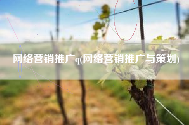 网络营销推广q(网络营销推广与策划)