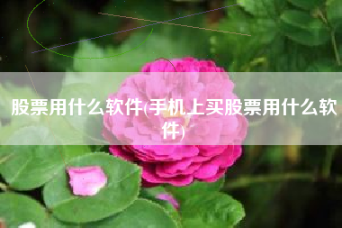 股票用什么软件(手机上买股票用什么软件)