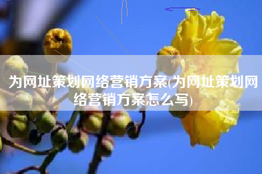 为网址策划网络营销方案(为网址策划网络营销方案怎么写)