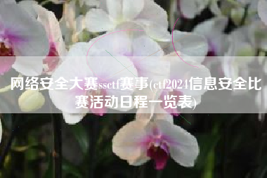 网络安全大赛ssctf赛事(ctf2024信息安全比赛活动日程一览表)