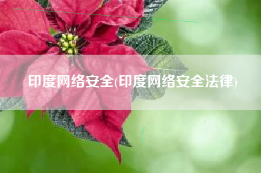 印度网络安全(印度网络安全法律)