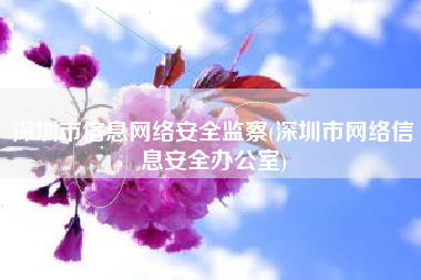 深圳市信息网络安全监察(深圳市网络信息安全办公室)