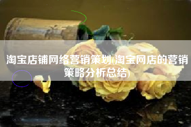 淘宝店铺网络营销策划(淘宝网店的营销策略分析总结)