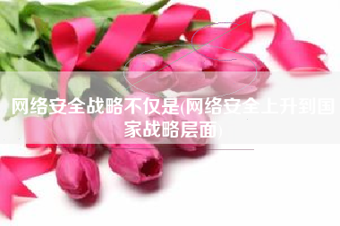 网络安全战略不仅是(网络安全上升到国家战略层面)