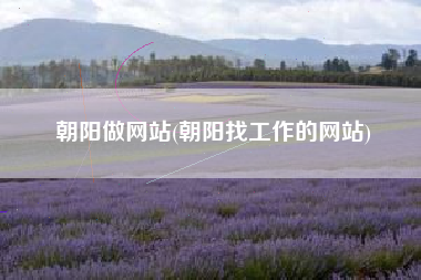 朝阳做网站(朝阳找工作的网站)