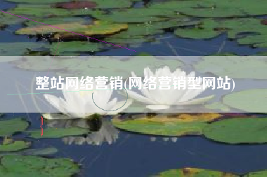 整站网络营销(网络营销型网站)