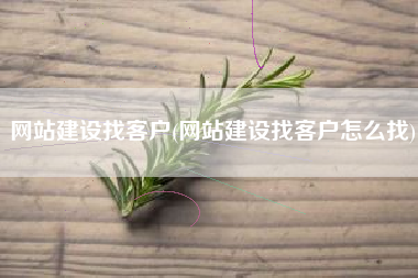 网站建设找客户(网站建设找客户怎么找)