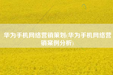 华为手机网络营销策划(华为手机网络营销案例分析)