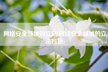 网络安全领域的立法(网络安全领域的立法包括)