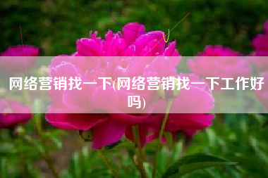 网络营销找一下(网络营销找一下工作好吗)