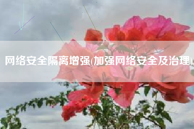 网络安全隔离增强(加强网络安全及治理)