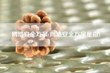 网络安全方案(网络安全方案是指)