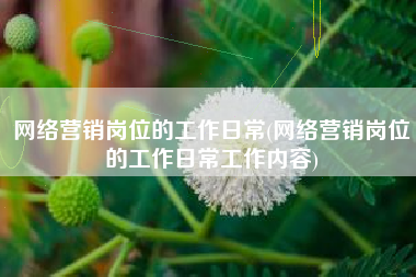 网络营销岗位的工作日常(网络营销岗位的工作日常工作内容)