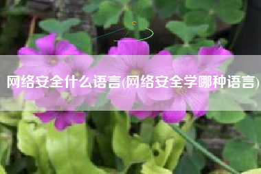 网络安全什么语言(网络安全学哪种语言)