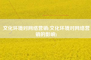文化环境对网络营销(文化环境对网络营销的影响)