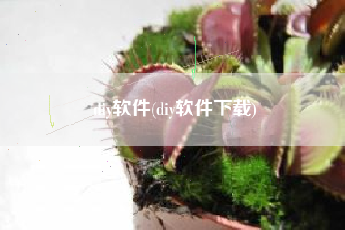 diy软件(diy软件下载)