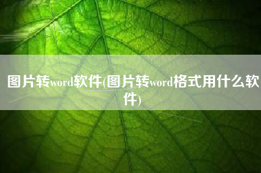 图片转word软件(图片转word格式用什么软件)