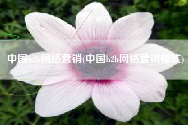 中国b2b网络营销(中国b2b网络营销模式)