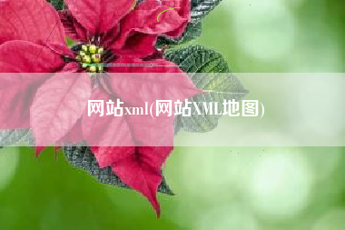 网站xml(网站XML地图)