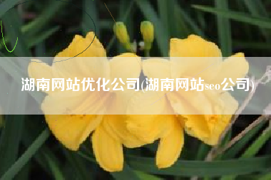 湖南网站优化公司(湖南网站seo公司)