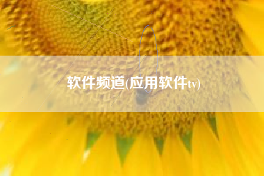 软件频道(应用软件tv)