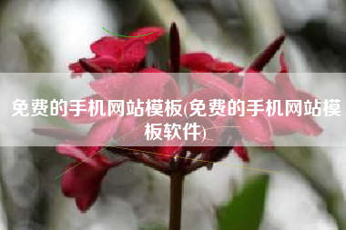 免费的手机网站模板(免费的手机网站模板软件)