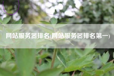 网站服务器排名(网站服务器排名第一)
