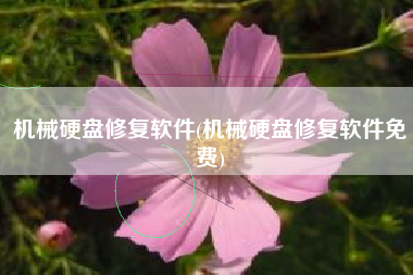 机械硬盘修复软件(机械硬盘修复软件免费)