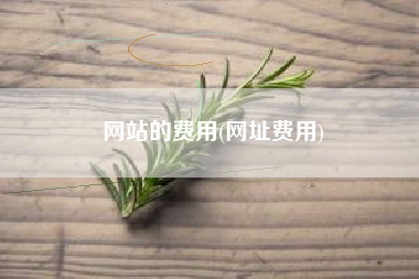 网站的费用(网址费用)