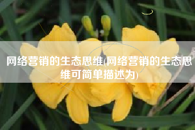 网络营销的生态思维(网络营销的生态思维可简单描述为)